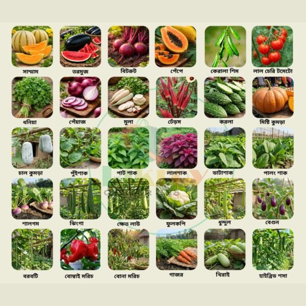৩০ প্রকার হাইব্রিড বীজ