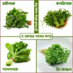 ৪ প্রকার ১২ মাসী মানসম্মত বীজ