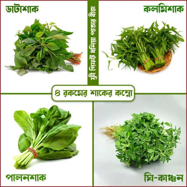 ৪ প্রকার ১২ মাসী মানসম্মত বীজ