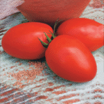 শীতকালীন টমেটো বীজ - Image 2