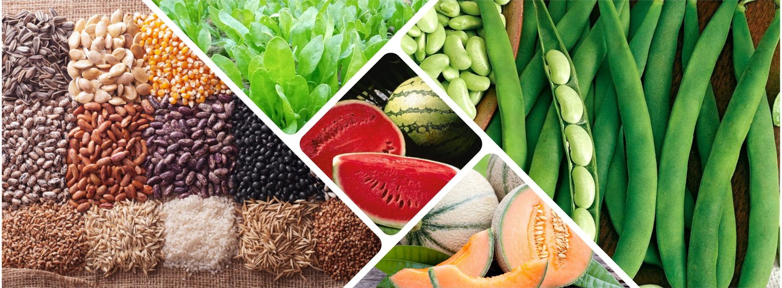 website display 3.jpg