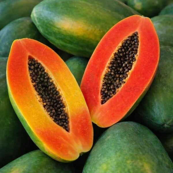 হাইব্রিড পেঁপে বীজ