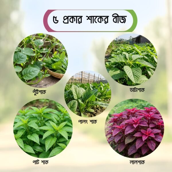 ৫ প্রকার শাকের বীজ