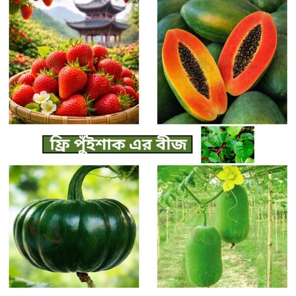৪ প্রকার কম্বো হাইব্রিড বীজ